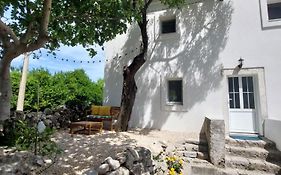 House Belej - Lola